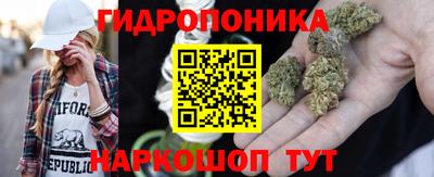 молекула духа Партизанск