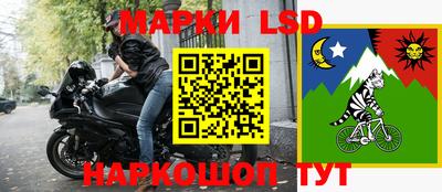 молекула духа Партизанск