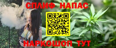 молекула духа Партизанск