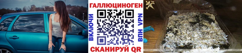 Галлюциногенные грибы Psilocybine cubensis  Сальск 