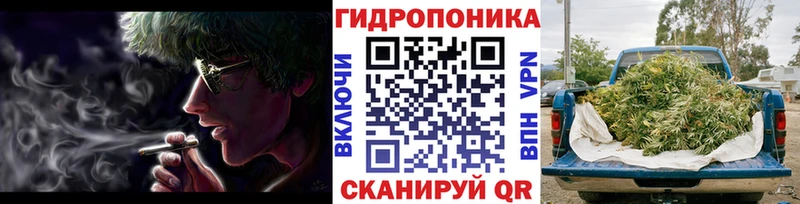 наркотики  Сальск  блэк спрут ссылка  Бошки Шишки Bruce Banner 